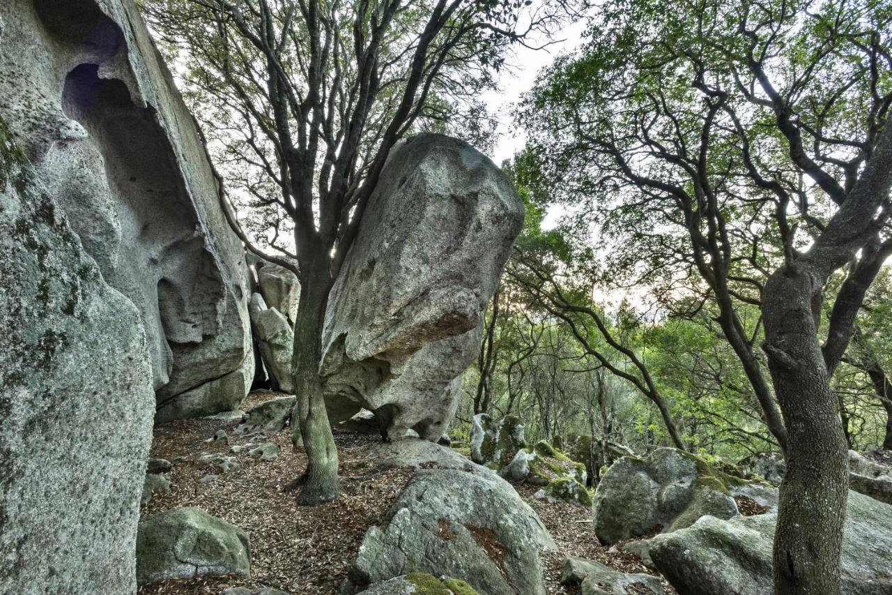 Gallicantu Stazzo Retreat Luogosanto Kültér fotó