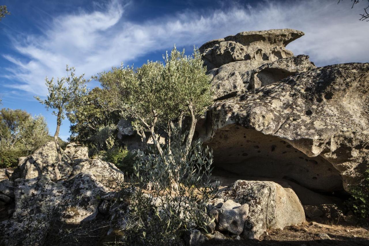 Gallicantu Stazzo Retreat Luogosanto Kültér fotó