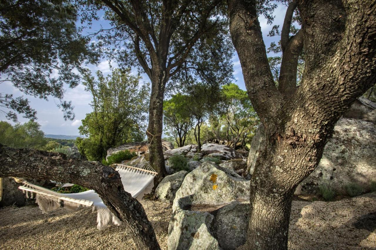 Gallicantu Stazzo Retreat Luogosanto Kültér fotó