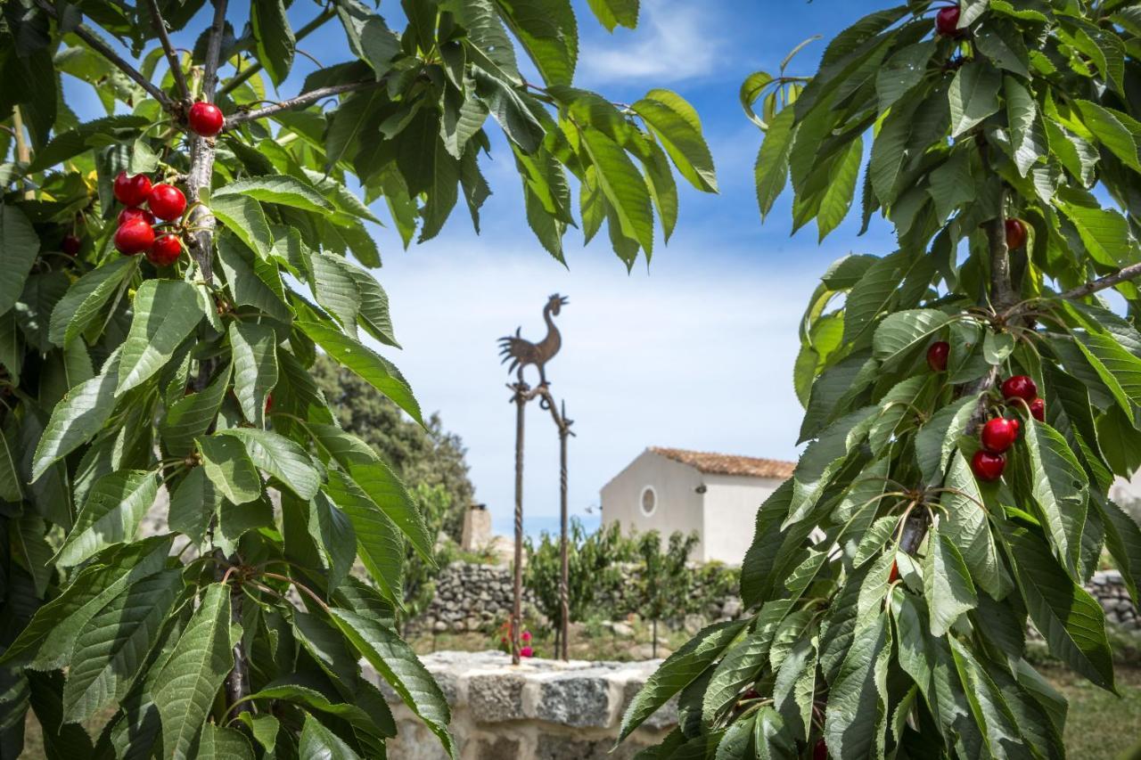 Gallicantu Stazzo Retreat Luogosanto Kültér fotó