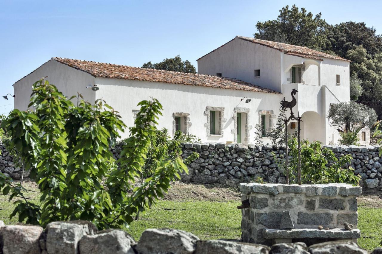 Gallicantu Stazzo Retreat Luogosanto Kültér fotó